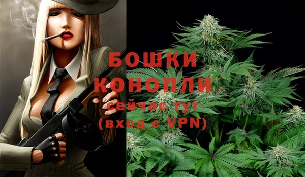 стаф Лабытнанги