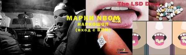 стаф Лабытнанги