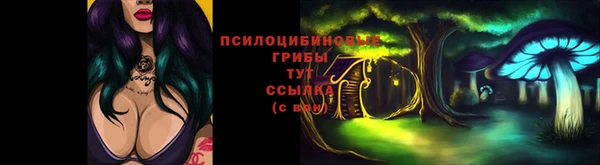 стаф Лабытнанги