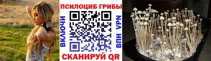 закладки  Елабуга  Галлюциногенные грибы мицелий 