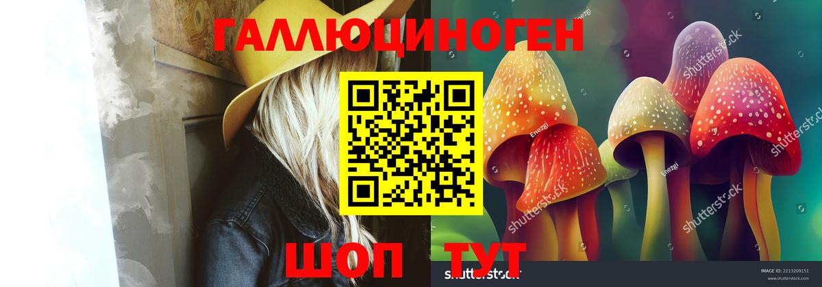 Псилоцибиновые грибы GOLDEN TEACHER  Елабуга  купить   Псилоцибиновые грибы Cubensis 